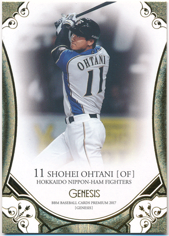 PSA10 鑑定済】ベーブルース 大谷翔平 コラボカード MLB